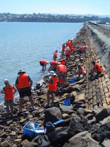 Conservation Volunteers at work