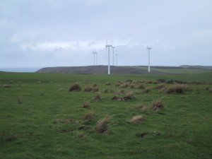 Turbines at the Woolnorth Wind Farm